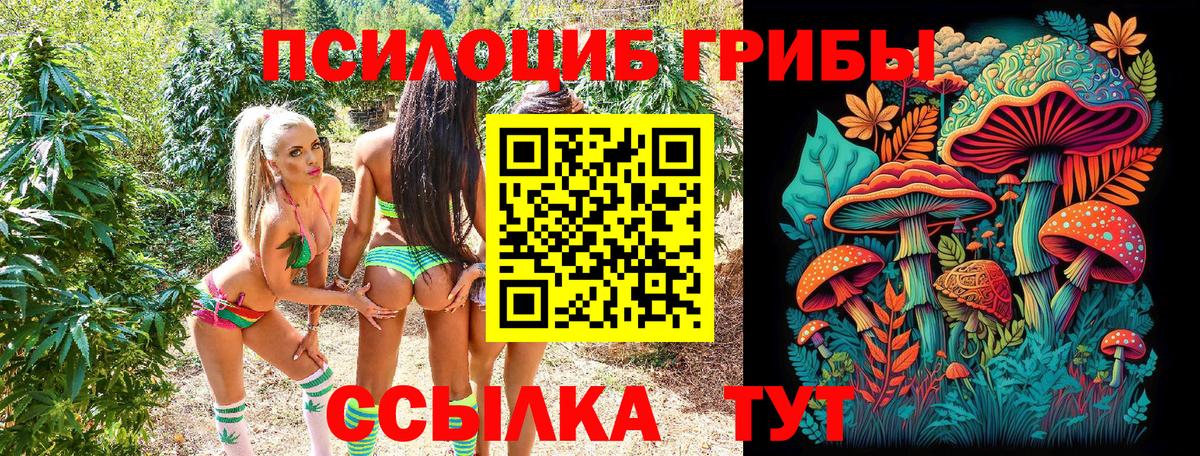 цены   Псилоцибиновые грибы Cubensis  Вход с VPN  Мценск 